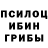 Псилоцибиновые грибы прущие грибы Lyuba Moiseeva
