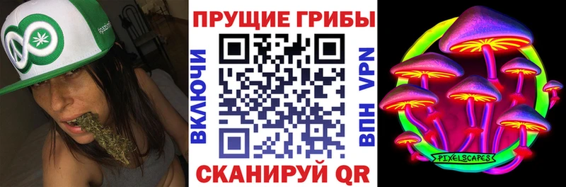 Псилоцибиновые грибы прущие грибы  Купить  Лысьва 